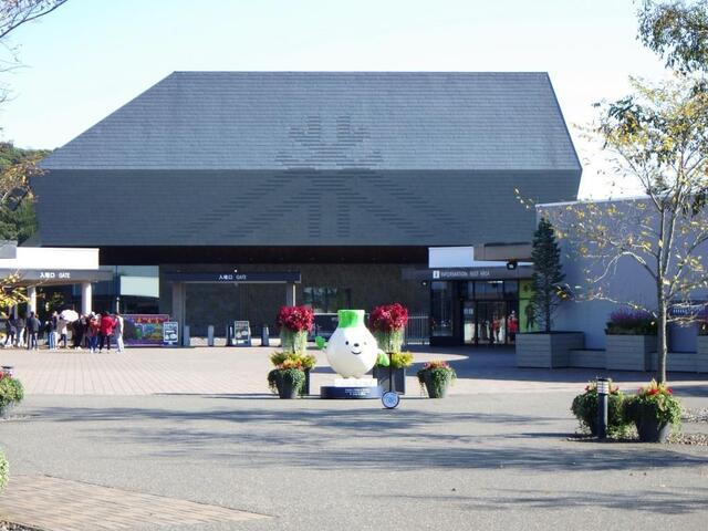 1010-03.JPG