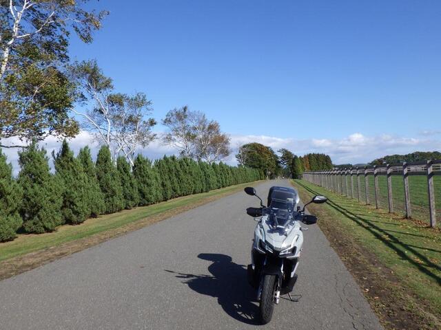 20241025-07.JPG