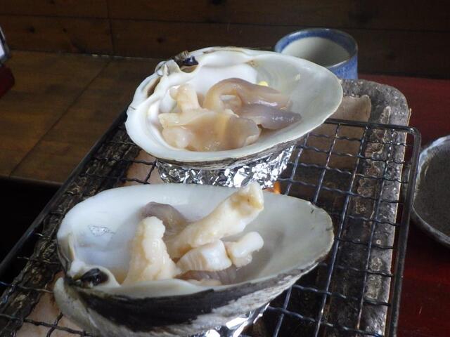 20241101-05.JPG