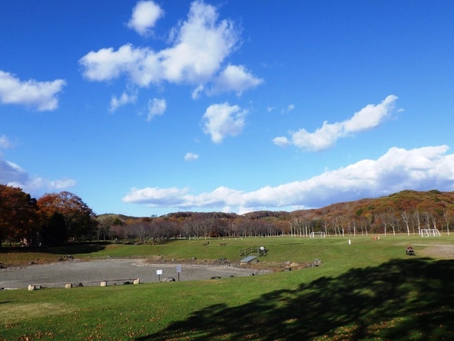 20241101-11.JPG