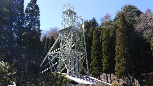 RIMG2612.JPG