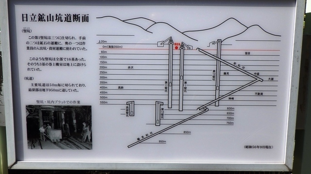 RIMG2617.JPG